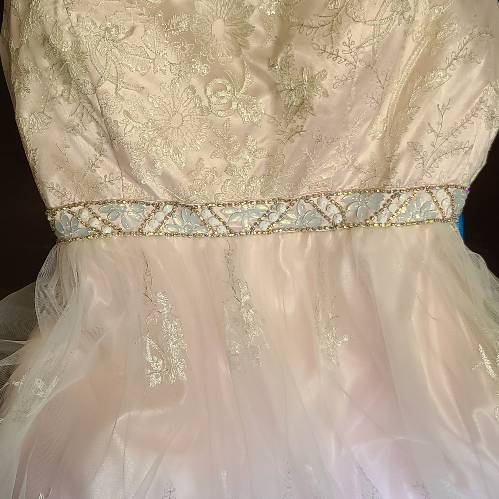 Pink Prom Dress - Picture 4 of 9
